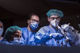 Foto: Clínica CEMTRO implanta las primeras prótesis de rodilla con cirugía robótica inteligente en España y Portugal