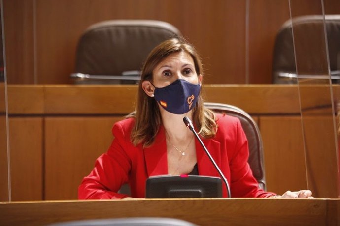 Ciudadanos asegura que las "líneas naranjas" que ha introducido en los Presupuestos de Aragón benefician a Huesca.