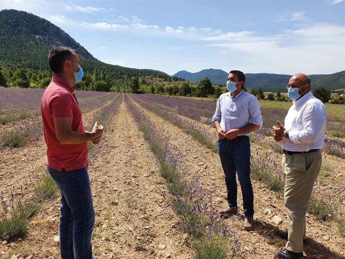 El consejero Antonio Luengo, junto al director del IMIDA, durante una visita el pasado verano a una plantación de lavanda en Cehegín.