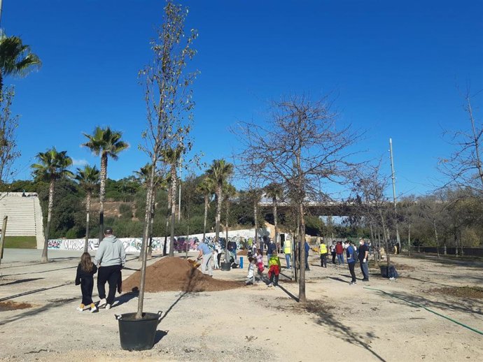 Siembra de árboles en el parque de sa Riera de Palma.