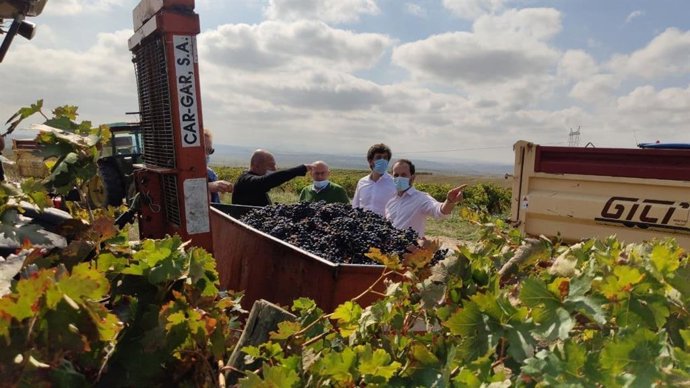 Cs pide a la UE apoyo al sector del vino