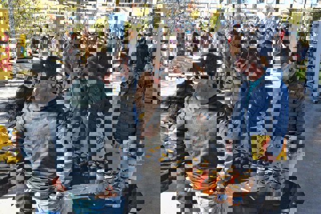 Una veintena de puestos acercan productos aragoneses hasta el mercado agroalimentario de Parque Venecia