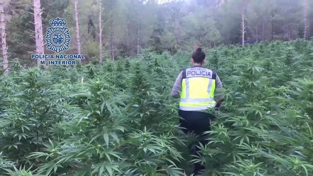 Vídeo de la noticia