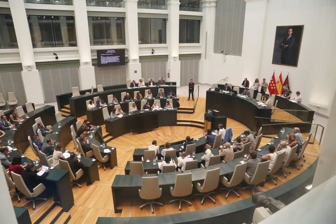 Pleno del Ayuntamiento de Madrid en el Palacio de Cibeles
