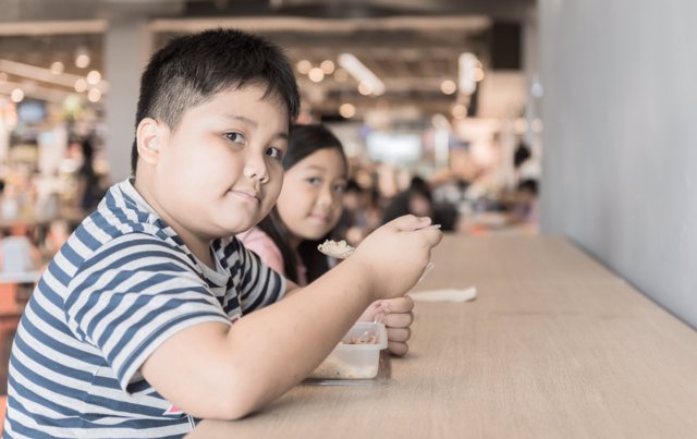 Obesidad infantil y nivel socioeconómico familiar