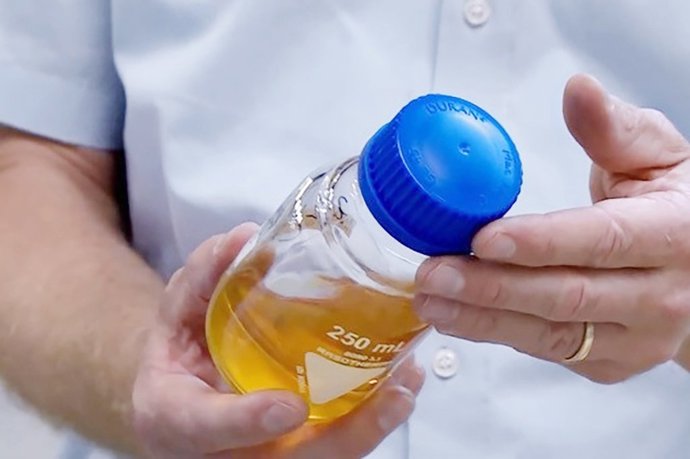 Imagen de las pruebas.