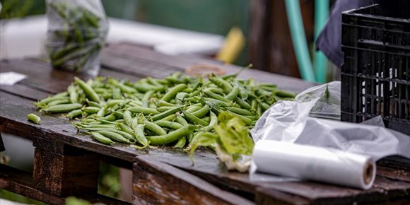 2. La Casa Encendida acoge la jornada 'Alimentar el cambio' sobre alimentación escolar saludable