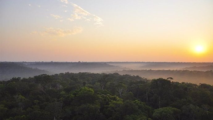 Salida del sol sobre la selva amazónica (tomada desde la parte superior del sitio de la torre de flujo K34 ubicada a 60 km al norte de Manaos, Brasil).