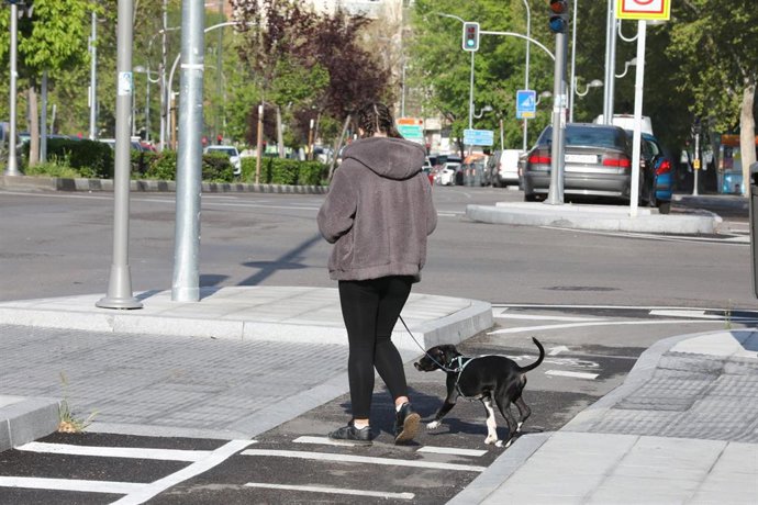 Una persona pasea un perro por las calles de Madrid  en plena pandemia del coronavirus en una imagen de archivo