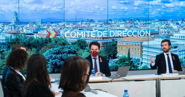 El líder del PP, Pablo Casado. Madrid, 17 de novembre del 2020.