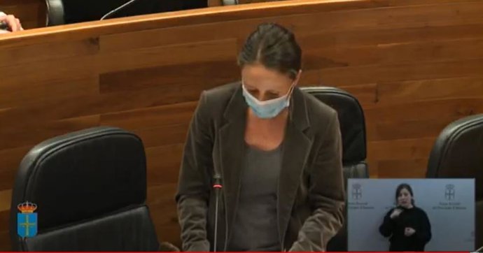 La consejera de Derechos Sociales y Bienestar, Melania Álvarez, en el pleno de este martes.