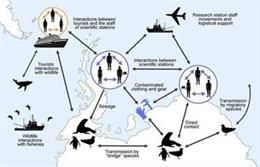 Investigadores del CSIC proponen extremar los cuidados para lograr que la Antártida siga siendo el único territorio del planeta libre de coronavirus.