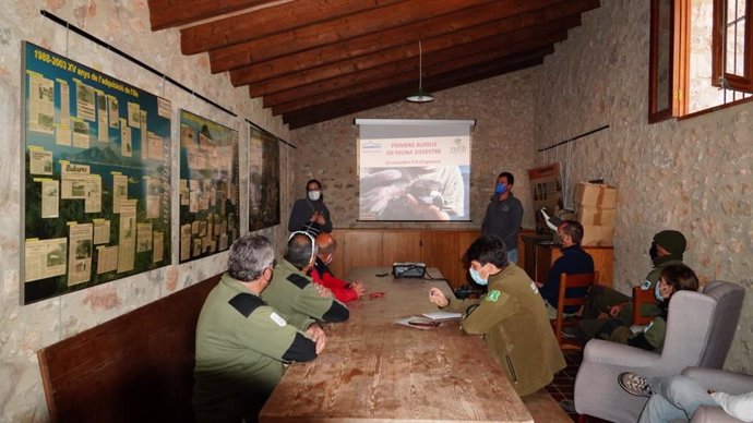 Técnicos del Cofib imparten un curso de primeros auxilios en fauna silvestre al personal del Parque Natural de sa Dragonera.