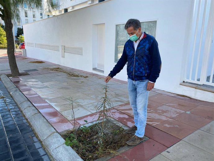 Antonio Losa en un alcorque abandonado
