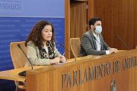 Adelante denuncia que la concesión de una medalla de honor "que no existe" al Rey es la "apología de una chapuza"