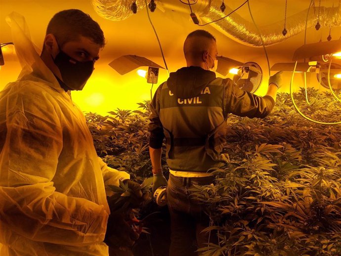 Desarticulada en Escóznar (Granada) una red criminal de cultivo y elaboración de marihuana a gran escala