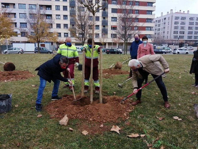 UGT ha vuelto a plantar un árbol en el Bosque de la Vida contra la violencia machista