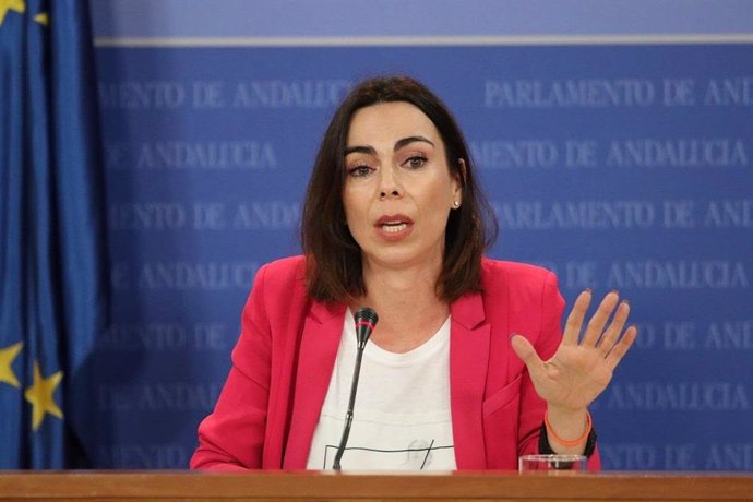 La parlamentaria de Ciudadanos (Cs) Teresa Pardo, en rueda de prensa en el Parlamento andaluz.