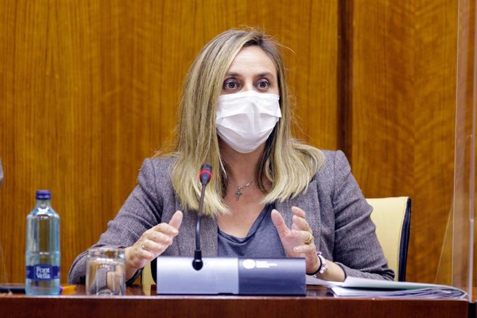 La consejera de Fomento, Marifrán Carazo, este miércoles durante su comparecencia en el Parlamento.