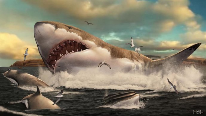Reconstrucción del megalodon por Hugo Salais (Metazoa Studio)