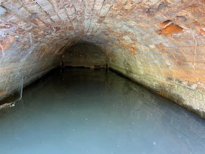 Proyecto De Renaturalización Del Río Henares Y Su Entorno en Alcalá de Henares.