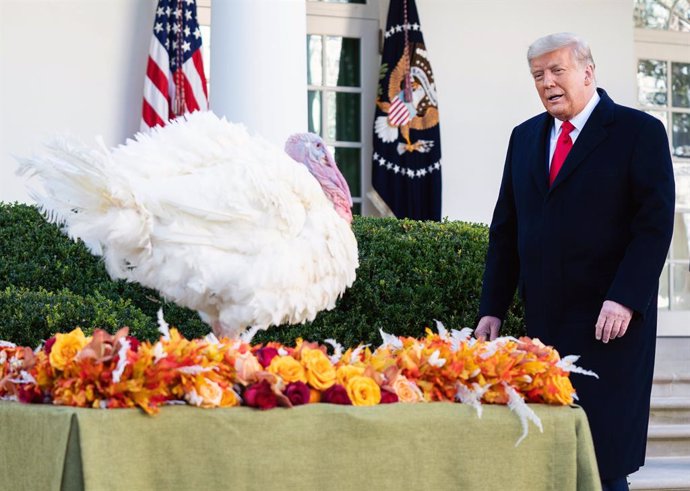 El presidente saliente de Estados Unidos, Donald Trump, junto al pavo indultado de este año por Acción de Gracias.