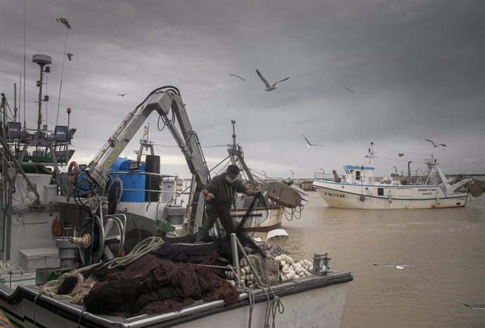 Llegada de un barco pesquero a  la lonja de la Cofradía de Pescadores de Sanlúcar de Barrameda 