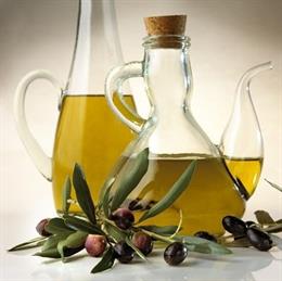 Las productoras de aceite de oliva en Catalunya facturan 863 millones según el Govern.