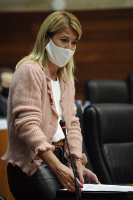 La portavoz de Sanidad del PP, Elena Nevado, en una foto de archivo