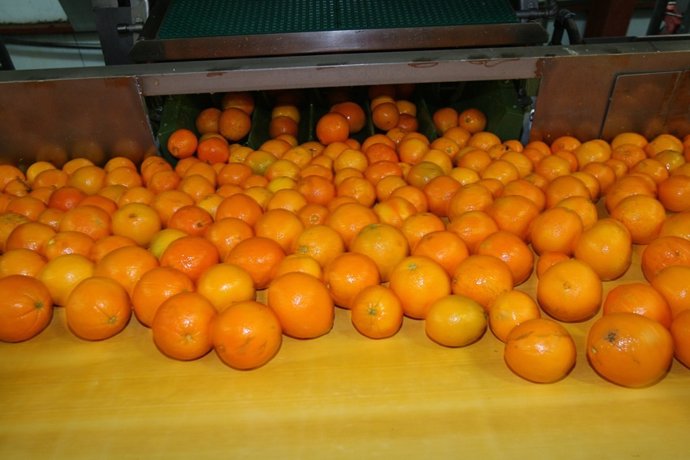 Naranjas.
