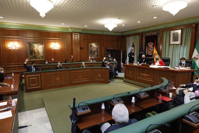 Pleno Ayuntamiento de Marbella