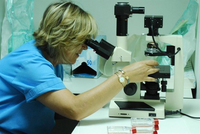 [Medios.Regionales.Csalud] Np Investigadores Y Profesionales Sanitarios Estudiarán Una Terapia Para La Diabetes Tipo 1