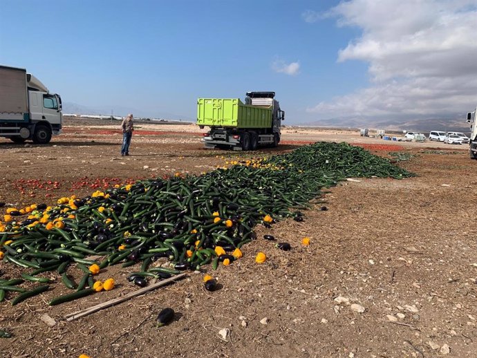 Agricultores de Almería arrojan pepinos, pimientos y berenjenas por los bajos precios