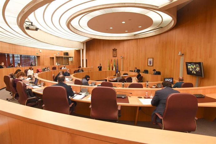 Pleno de la Diputación de Granada