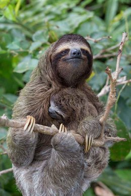 ClimatePartner, lavera is protecting 5,023 ha of rain forest in the Amazon region Peru Madre de Dios