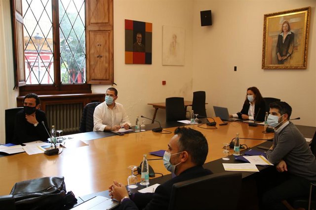 La presidenta del Consell de Mallorca, Catalina Cladera, durante la presentación de los presupuestos de la institución insular para el año 2021 a representantes de las entidades sociales del Tercer Sector.