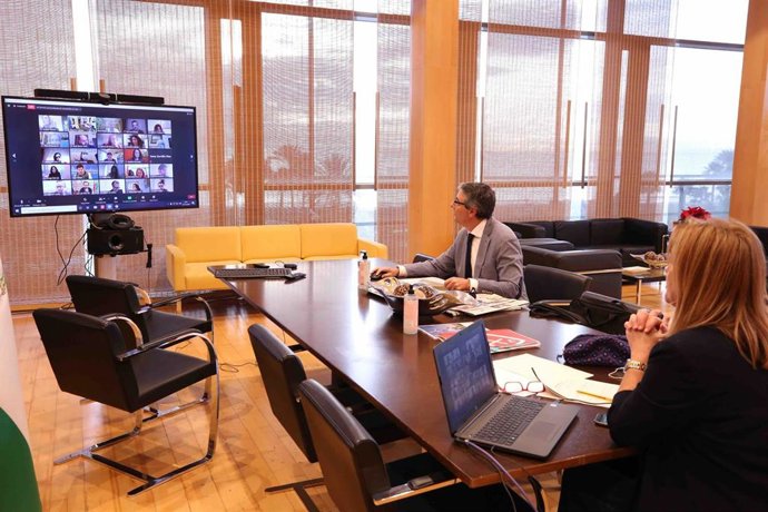 El presidente de la Diputación, Francisco Salado, preside el pleno telemático de la institución este viernes 27 de noviembre