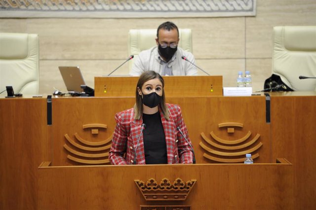 La portavoz del Grupo Parlamentario Socialista en la Asamblea, Lara Garlito