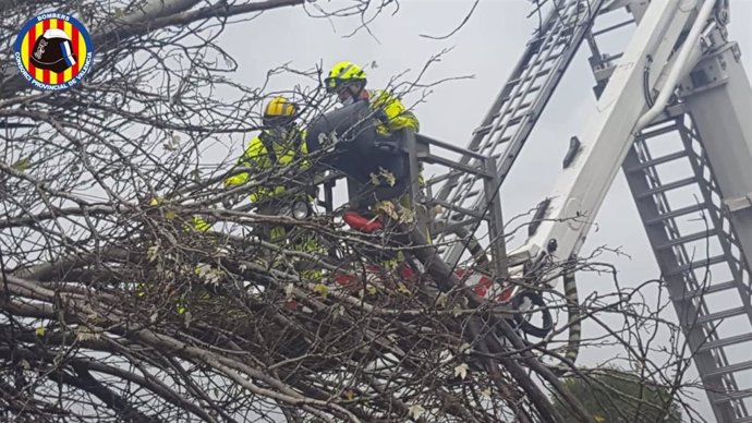 Bomberos trabajan en la caída de un árbol en la Línea 2 de metro