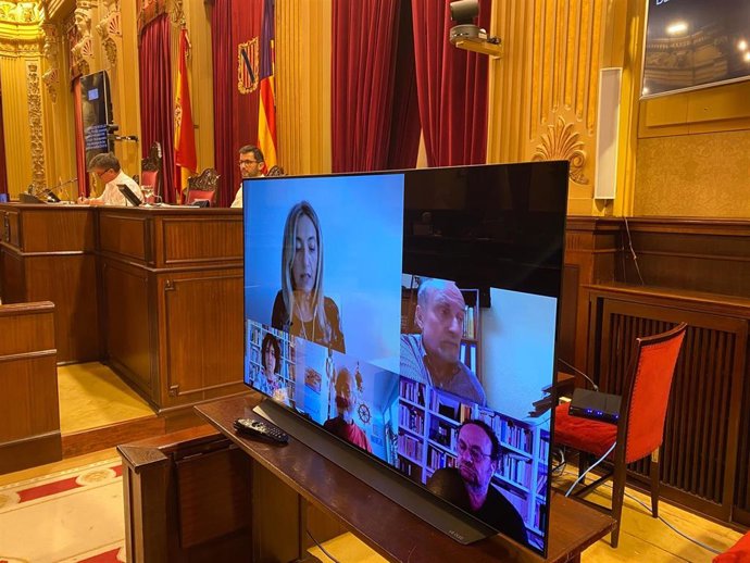 Diputados participando de manera telemática en una comisión del Parlament.
