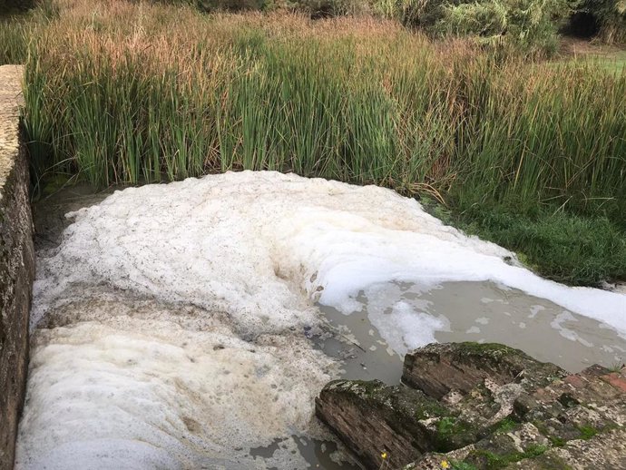 Posible nuevo vertido contaminante al río Guadaíra en las inmediaciones del Molino de la Aceña (Sevilla).