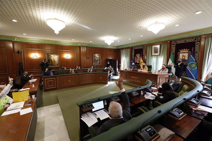 Pleno del Ayuntamiento de Marbella