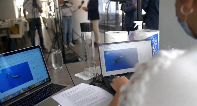 El Congreso Internacional de Avistamiento de Cetáceos concluye con la participación de más de 500 profesionales