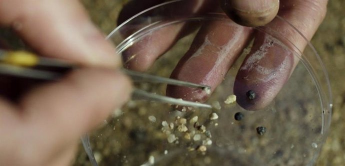 L Parlamento Europeo ha votado prohibir el uso de munición de plomo en los humedales de la Unión Europea, una medida que empezará a estar vigente en un plazo de 24 meses.
