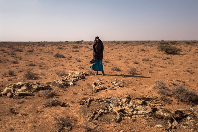 Una mujer afectada por la sequía en Somalia