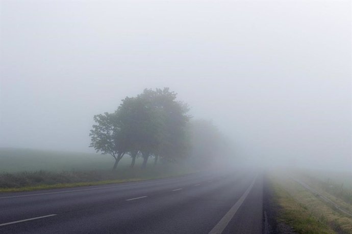 Niebla en una carretera