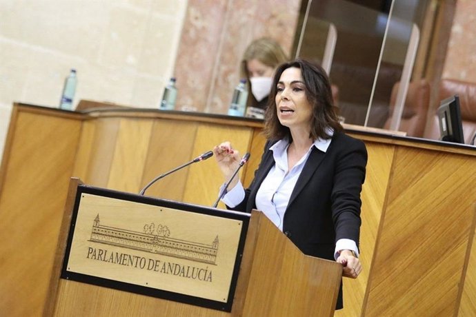 La parlamentaria andaluza de Ciudadanos (Cs) Teresa Pardo, en una foto de archivo.