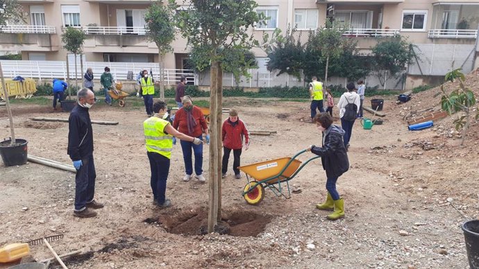 Vecinos de Son Dameto participan en la segunda jornada de siembra de árboles abierta a la ciudadanía en Palma.