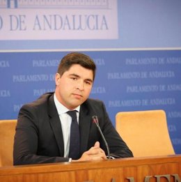 El diputado de Ciudadanos en el Parlamento de Andalucía Enrique Moreno.