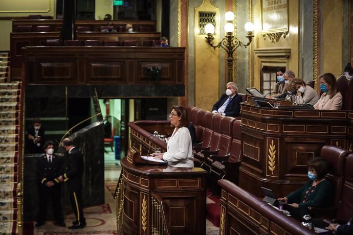 La diputada nacional del PP, Isabel Borrego, en el Congreso